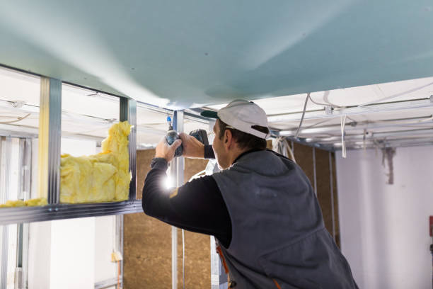 Best Blown-in Insulation in Queensland, MD