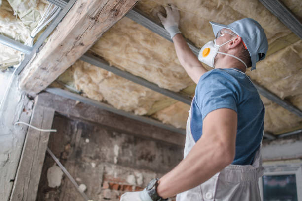 Types of Insulation We Offer in Queensland, MD