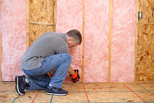 Best Specialized Insulation Services in Queensland, MD